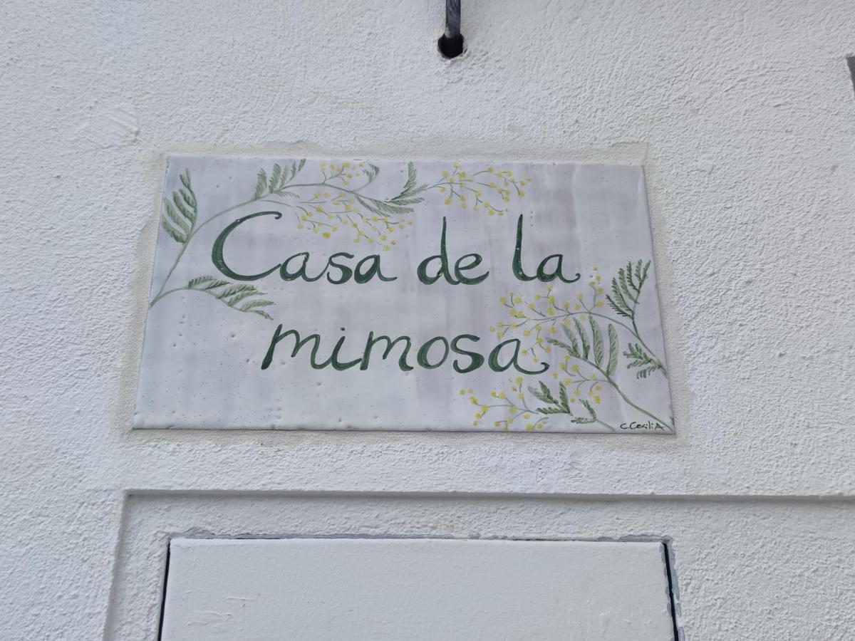 Apartamento La casa de la mimosa Córdoba Exterior foto